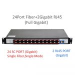 fiber switch gigabit